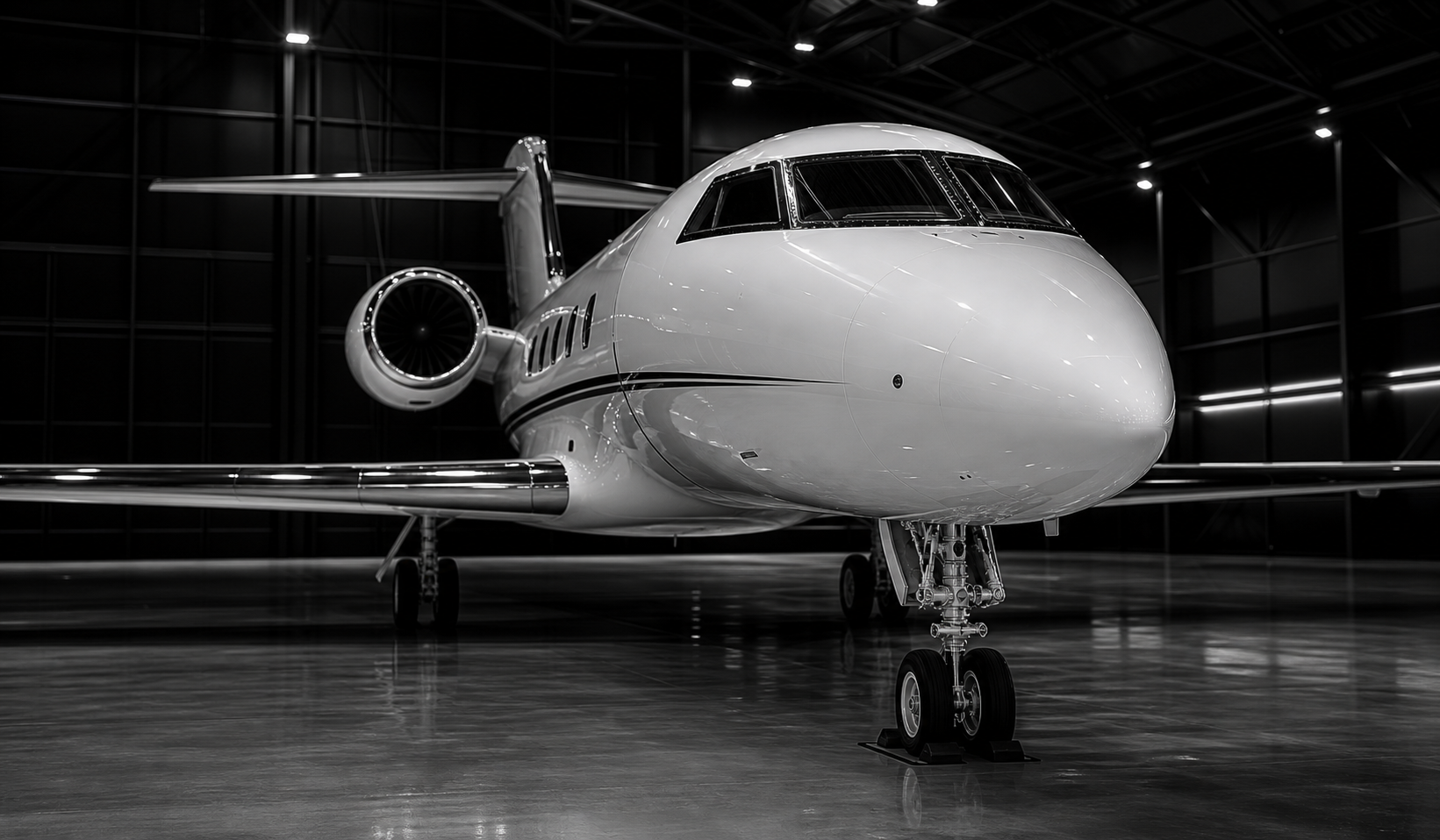 Private jet in a pristine hangar